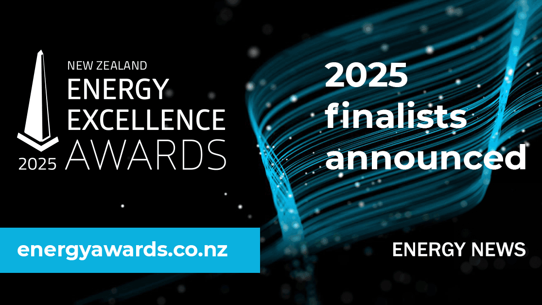 Awards finalists named