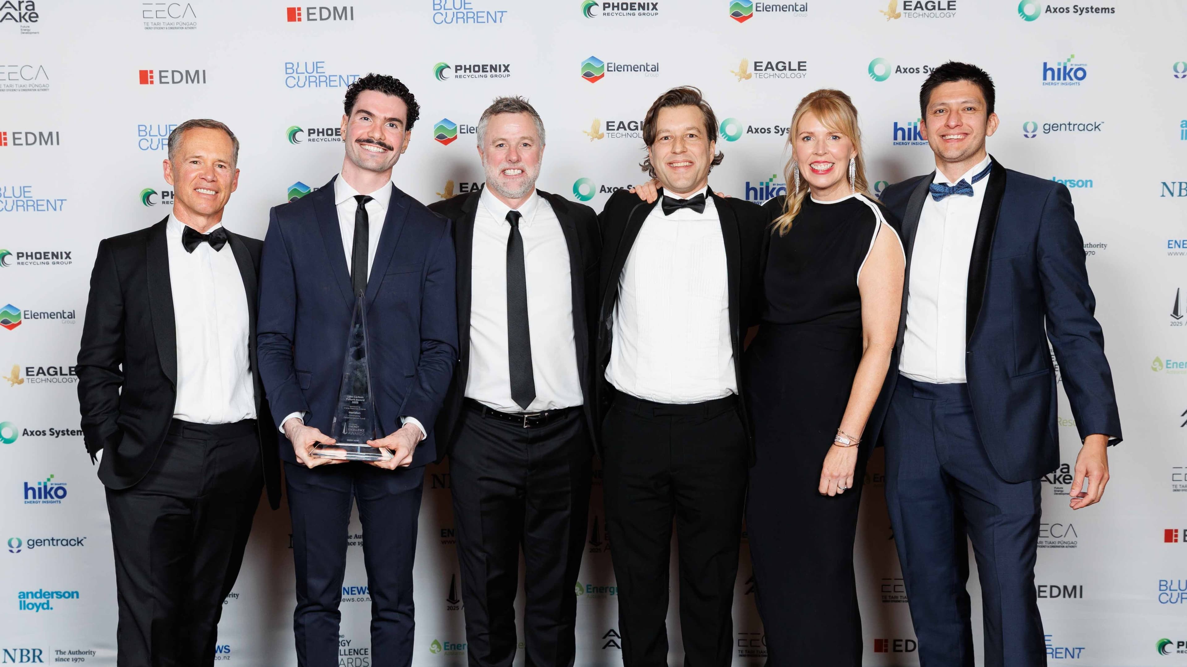 2025 Energy Award winners