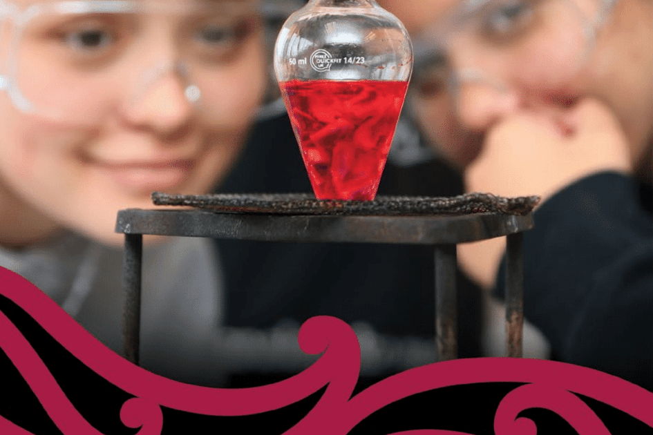 COMMUNITY INITIATIVE OF THE YEAR AWARDS FINALIST: Genesis STEM pathways for rangatahi