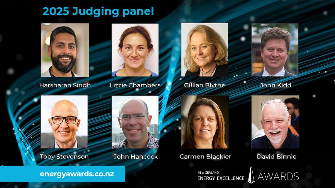 Introducing the judging panel