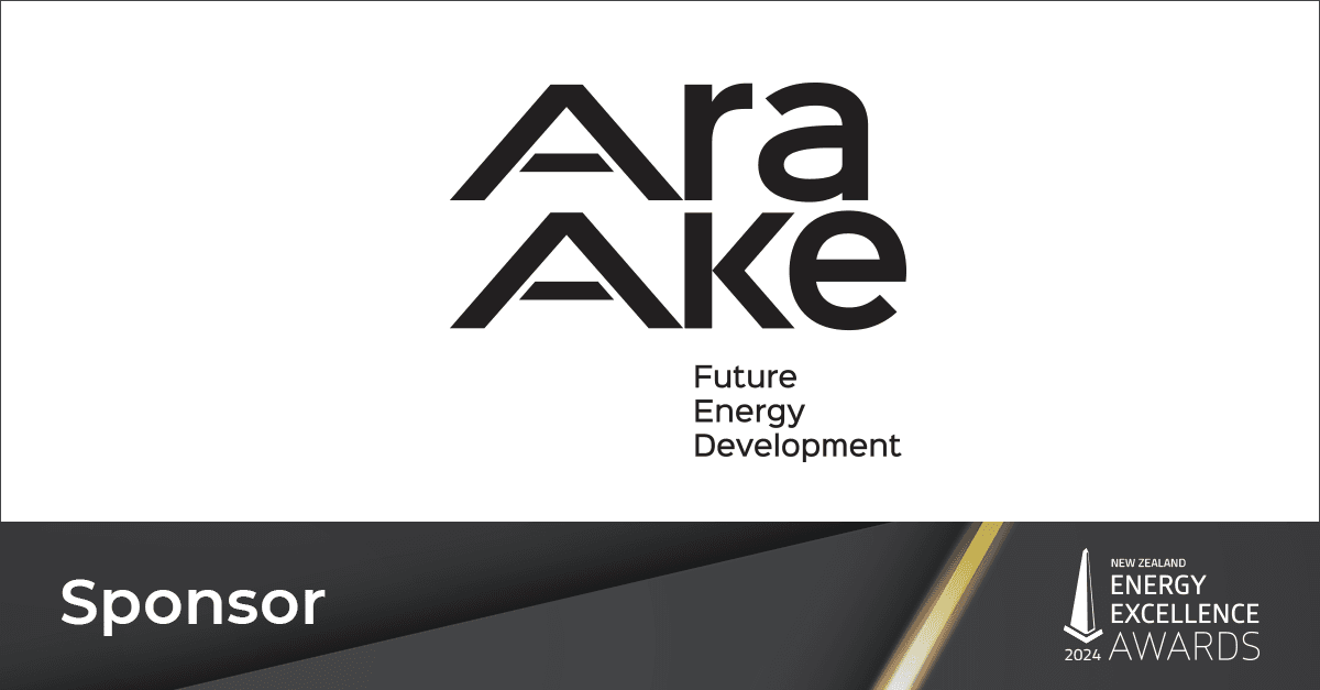 Ara Ake sponsors Innovation in Energy Award