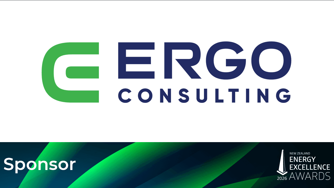 Ergo Consulting sponsors Well-being Award