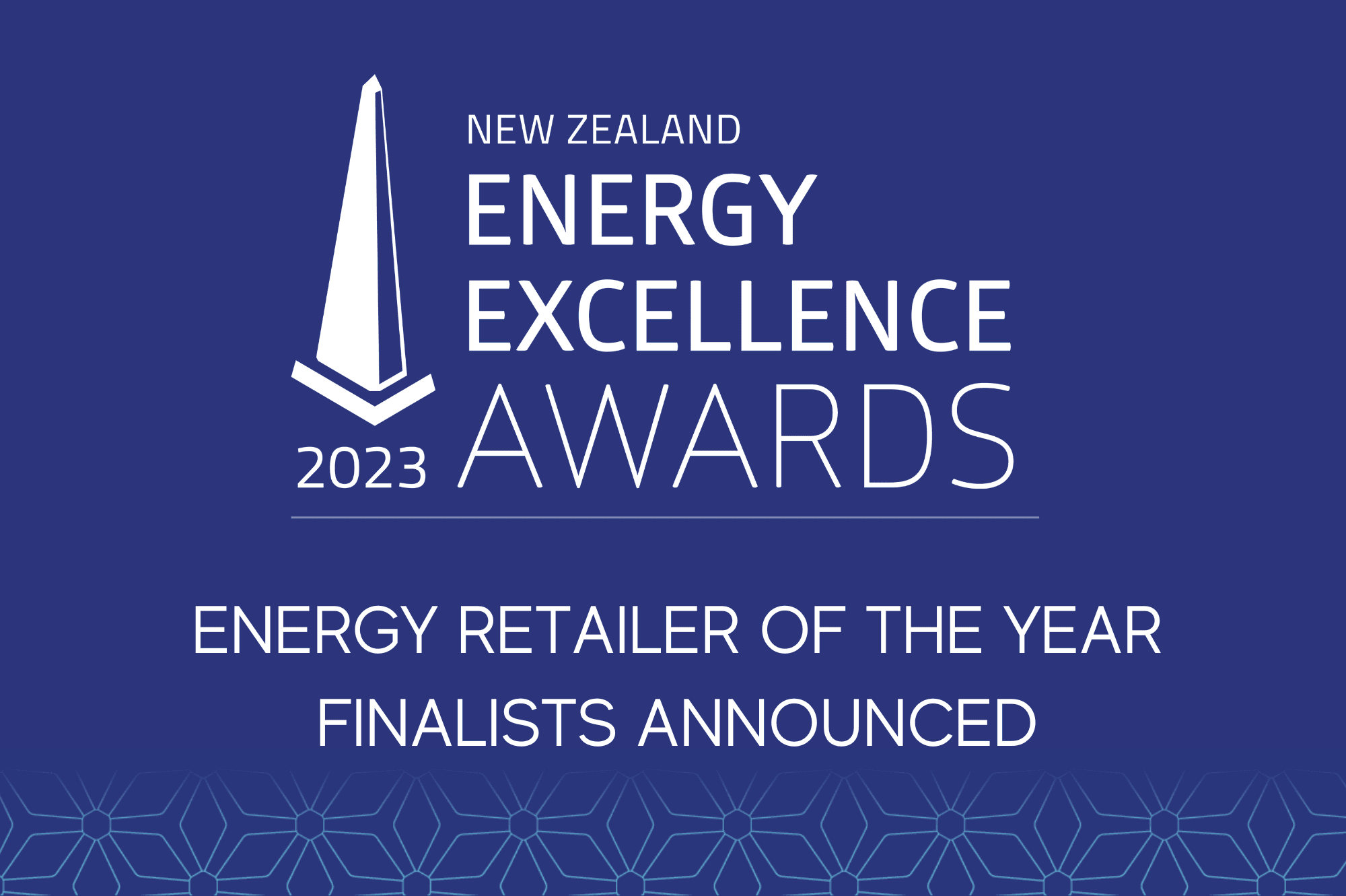 Diversity illustrated by Energy Retailer of the Year finalists